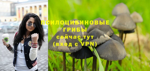 шишки Елизово