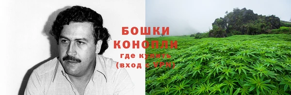 mdma Гвардейск
