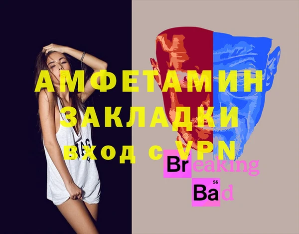 шишки Елизово