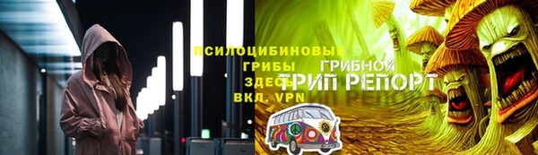 шишки Елизово