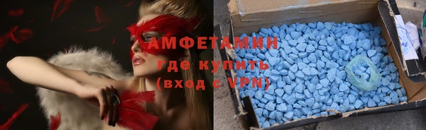 шишки Елизово