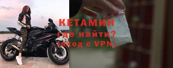 шишки Елизово