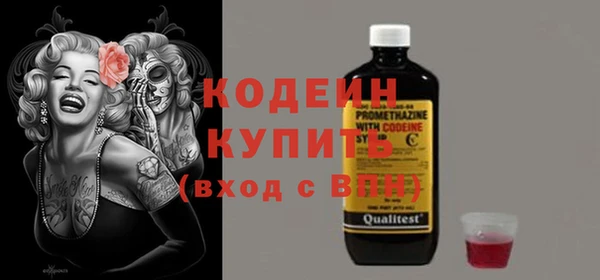 шишки Елизово