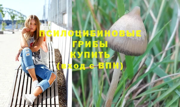мдма Ельня