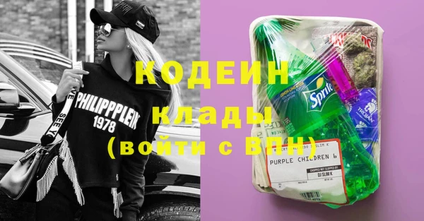шишки Елизово