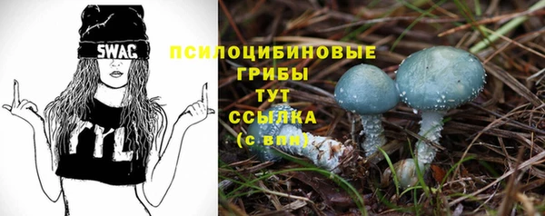 mdma Гвардейск
