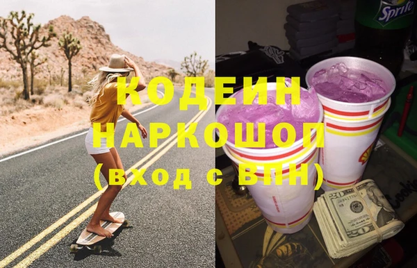 шишки Елизово