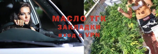 шишки Елизово
