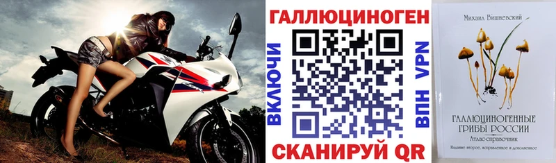закладка мега маркетплейс Галлюциногенные грибы ЛСД Исилькуль