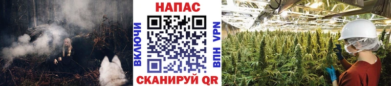 Каннабис Amnesia  MEGA рабочий сайт  Исилькуль 